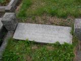 image of grave number 796342